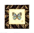 Precis Octavia Butterfly by Gretchen Shannon Limited Edition Pricing Art Print