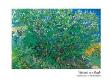 Lilac Bush by Vincent Van Gogh Limited Edition Print