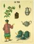 Le The (Tea History) by Deyrolle Limited Edition Print