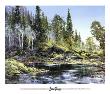 Canyon Creek by Doug Oliver Limited Edition Print