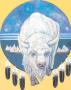 White Buffalo Mandella by Pam Mccabe Limited Edition Pricing Art Print
