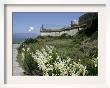 Egret Flies Over The Lawns Of Alcatraz, San Francisco, California by Eric Risberg Limited Edition Pricing Art Print