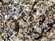 Untitled, 1948 by Jackson Pollock Limited Edition Pricing Art Print