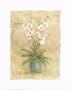 White Orchids Ii by Rosalind Oesterle Limited Edition Print