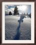 Snowy Landscape, Arosa, Switzerland by Alessandro Della Bella Limited Edition Print