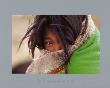 Angmo, Young Shepherdess In Ladakh by Olivier Follmi Limited Edition Print