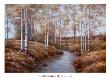 Birch Creek by Diane Romanello Limited Edition Pricing Art Print