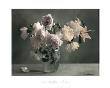 Soft Roses by Sondra Wampler Limited Edition Print