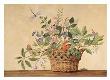 Floral Basket I by Lisa Canney Chesaux Limited Edition Print