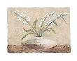 White Flowers In Brown by Antonio Ferralli Limited Edition Print