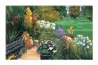 Garden Retreat Ii by Raha Lane Limited Edition Print