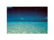 French Polynesia by J. P. Nacivet Limited Edition Print