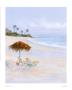 Tropical Waters by Jacqueline Penney Limited Edition Print