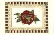 Camelia Reticulata by Andrews Limited Edition Print