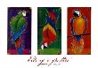 Birds Of A Feather by Karen Dupre Limited Edition Print