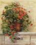 Nasturtiums by Carol Rowan Limited Edition Pricing Art Print