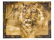 Tiger by Annrika Mccavitt Limited Edition Pricing Art Print