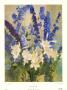 Larkspur And Lilies by Laura Coombs Hills Limited Edition Pricing Art Print