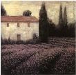 Lavender Field by James Wiens Limited Edition Print