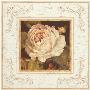 Rose Blanche by Kathryn White Limited Edition Pricing Art Print