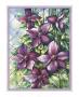 Clematis Vines by Peggy Thatch Sibley Limited Edition Pricing Art Print