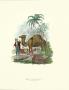 Camel by Julius Caesar Ibbetson Limited Edition Print
