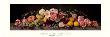Fiori Con Frutta I by Sondra Wampler Limited Edition Pricing Art Print