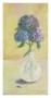 Devonshire Hydrangeas by Serena Barton Limited Edition Pricing Art Print