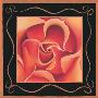 Jane Nassano Pricing Limited Edition Prints