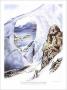 Larsen Ice Shelf by Loyal H. Chapman Limited Edition Print