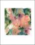 Tangerine Dream Ii by Renee Young Limited Edition Pricing Art Print