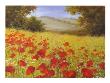 Sparkling Field Ii by Heinz Scholnhammer Limited Edition Print