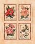 Vintage Roses by Jerianne Van Dijk Limited Edition Pricing Art Print