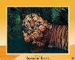 Imaginary Safari, Tiger by Tom Arma Limited Edition Print