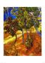 Jardin Des Peupliers by Vincent Van Gogh Limited Edition Pricing Art Print