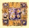 Daisies by Petula Stone Limited Edition Print