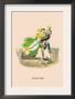 Giroflee by J.J. Grandville Limited Edition Pricing Art Print