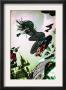 Amazing Fantasy #9 Cover: Scorpion Flying by Dave Ross Limited Edition Print