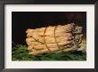 Asparagus by Édouard Manet Limited Edition Pricing Art Print