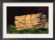 Asparagus by Edouard Manet Limited Edition Print