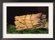 Asparagus by Ã‰Douard Manet Limited Edition Print