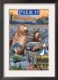 Pier 39 - San Francisco, Ca, C.2009 by Lantern Press Limited Edition Pricing Art Print