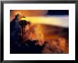 Lighthouse, Hope, Leadership, Inspiration by Greg Smith Limited Edition Print