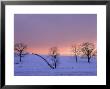 Trees In The Snowy Field by Charles Shoffner Limited Edition Print