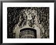 A Gate With A Face Made From Coral by John Glembin Limited Edition Pricing Art Print