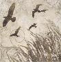 Birds In Flight Ii by Melissa Pluch Limited Edition Print