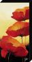 Red Poppies Ii by Jettie Roseboom Limited Edition Pricing Art Print