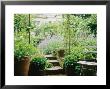 Steps Up To Small City Garden, Pair Of Buxus In Containers, Watering Can, Chair by Mark Bolton Limited Edition Print