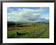 Dartmoor, Devon by David Cayless Limited Edition Print