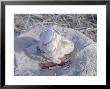 West Indian Flamingo, Chick With Egg Shell On Head, Bahamas by Daniel Cox Limited Edition Print